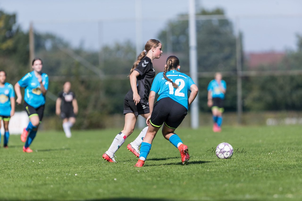 Bild 303 - wBJ SV Henstedt Ulzburg - FSG Oldendorf Itzehoe : Ergebnis: 2:5